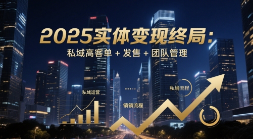 2025实体变现终局：私域高客单+发售+团队管理-云创项目库