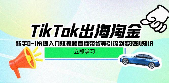 (10035期)TikTok-出海淘金，新手0-1快速入门短视频直播带货等引流到变现的知识-云创项目库