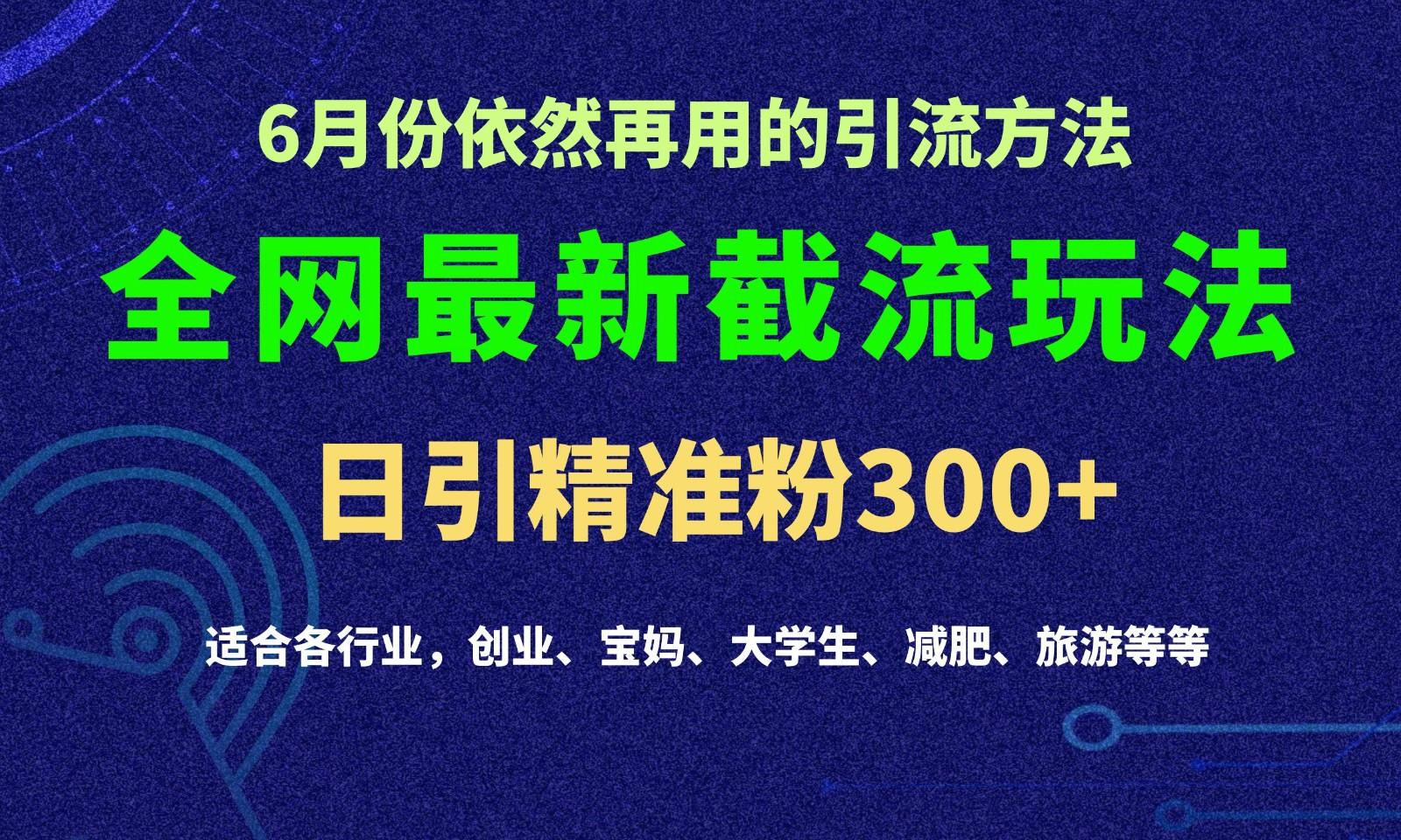2024全网最新截留玩法，每日引流突破300+-云创项目库