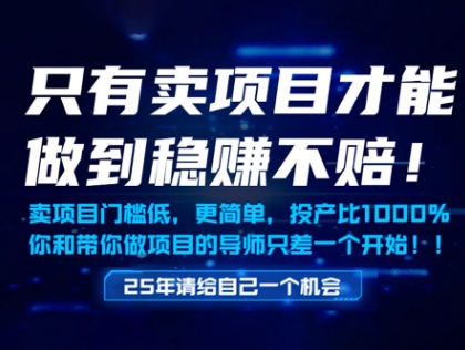 只有卖项目才能做到稳挣不赔，门槛低，更简单，你也可以年入百个W【揭秘】-云创项目库
