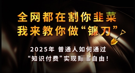 知识付费如何做到月入过W+，2025我来教你做“镰刀”【揭秘】-云创项目库