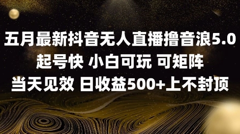 2025五月最新无人直播撸音浪单日产出5张+实操教程【揭秘】-云创项目库