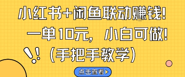 小红书+闲鱼联动挣钱，一单10元，小白可做-云创项目库