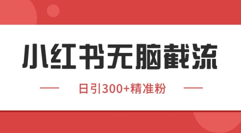 小红书截流同行客源，独家野路子获客玩法 日引200+暴力获客【揭秘】-云创项目库