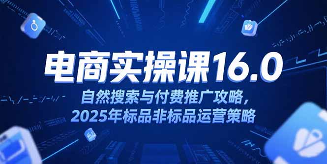 淘宝电商运营课16.0，自然搜索与付费推广攻略，2025年标品非标品运营策略-云创项目库