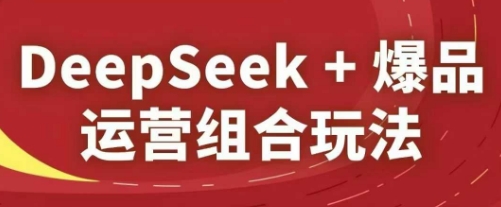 DeepSeek+爆品运营组合玩法，2025淘系精品课-云创项目库