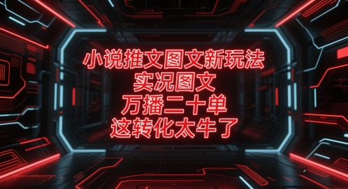 小说推文图文新玩法，实况图文，万播二十单，这转化太牛了！-云创项目库