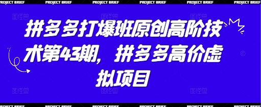 拼多多打爆班原创高阶技术第43期，拼多多高价虚拟项目-云创项目库