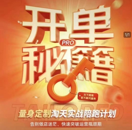 淘宝开单秘籍PRO，量身定制淘天实战陪跑计划，告别做店迷茫、快速突破运营瓶颈期(更新)-云创项目库