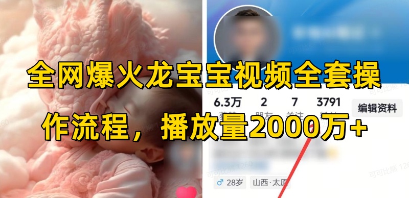 全网爆火龙宝宝视频全套操作流程，播放量2000万+-云创项目库