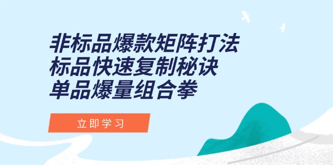 非标品爆款矩阵打法，标品快速复制秘诀，单品爆量组合拳-云创项目库