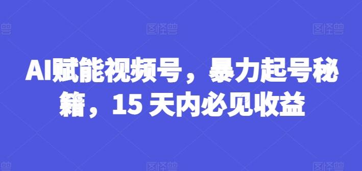 AI赋能视频号，暴力起号秘籍，15 天内必见收益【揭秘】-云创项目库