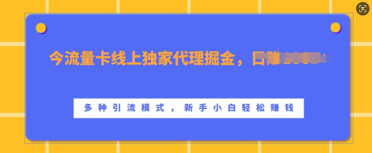 流量卡线上独家代理掘金，日入1k+ ，多种引流模式，新手小白轻松上手【揭秘】-云创项目库