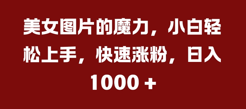 美女图片的魔力，小白轻松上手，快速涨粉，日入几张【揭秘】-云创项目库