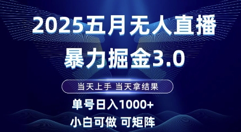 2025五月无人直播暴力掘金3.0，当天上手，当天拿结果，单号日入1k+小白可做可矩阵【揭秘】-云创项目库