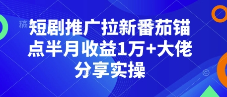 短剧推广拉新番茄锚点半月收益1万+大佬分享实操-云创项目库