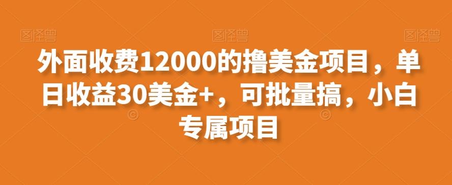 外面收费12000的撸美金项目，单日收益30美金+，可批量搞，小白专属项目-云创项目库