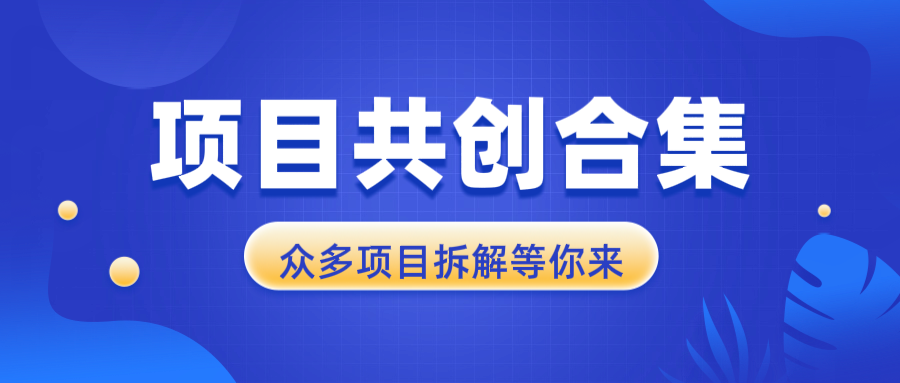 项目共创合集，从0-1全过程拆解，让你迅速找到适合自已的项目-云创项目库