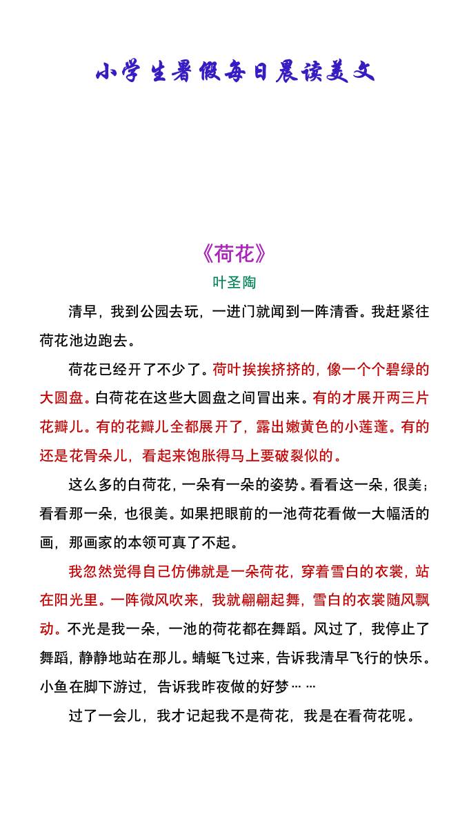 小学生暑假每日晨读美文：叶圣陶《荷花》-小升初语文-云创项目库