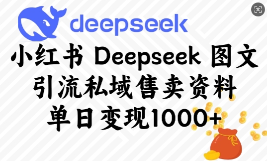 小红书Deepseek图文引流私域售卖资料，单日变现多张-云创项目库