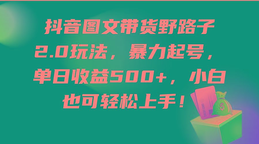 (9790期)抖音图文带货野路子2.0玩法，暴力起号，单日收益500+，小白也可轻松上手！-云创项目库