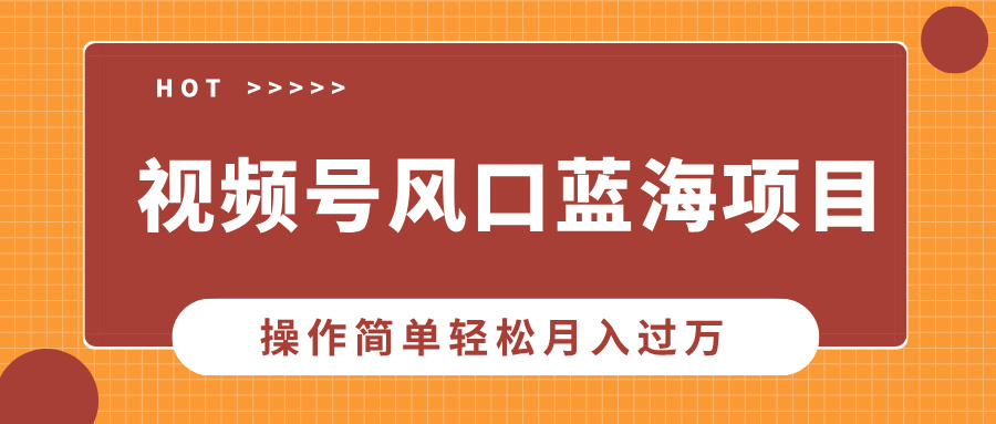 视频号风口蓝海项目，中老年人的流量密码，操作简单轻松月入过万-云创项目库