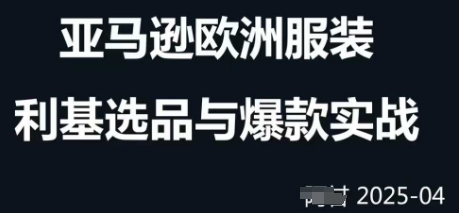 跨境电商选品案例24-25年，聚焦跨境电商选品策略与运营优化，助力卖家挖掘蓝海市场-云创项目库
