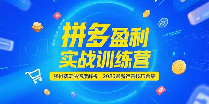 拼多多盈利实战训练营，强付费玩法深度解析，2025运营技巧合集-更新6月-云创项目库