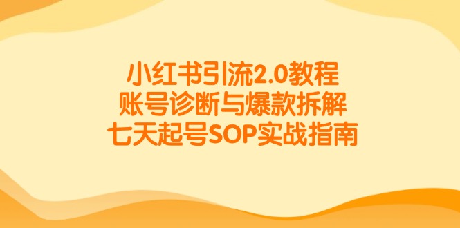 小红书引流2.0教程，账号诊断与爆款拆解，七天起号SOP实战指南-云创项目库
