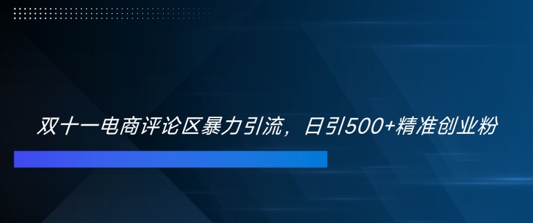 双十一电商评论区暴力引流，日引500+精准创业粉【揭秘】-云创项目库