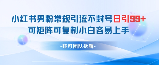小红书男粉常规引流不封号日引99+变现简单 可矩阵可复制小白容易上手-云创项目库