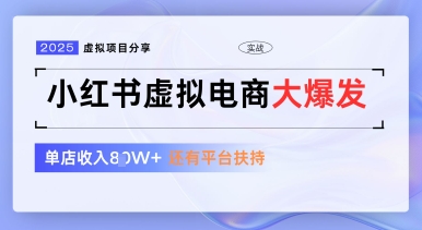 小红书虚拟电商项目，平台大力免费流量扶持，低门槛1拖3玩法-云创项目库