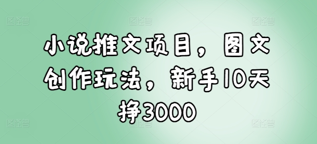 小说推文项目，图文创作玩法，新手10天挣3000-云创项目库