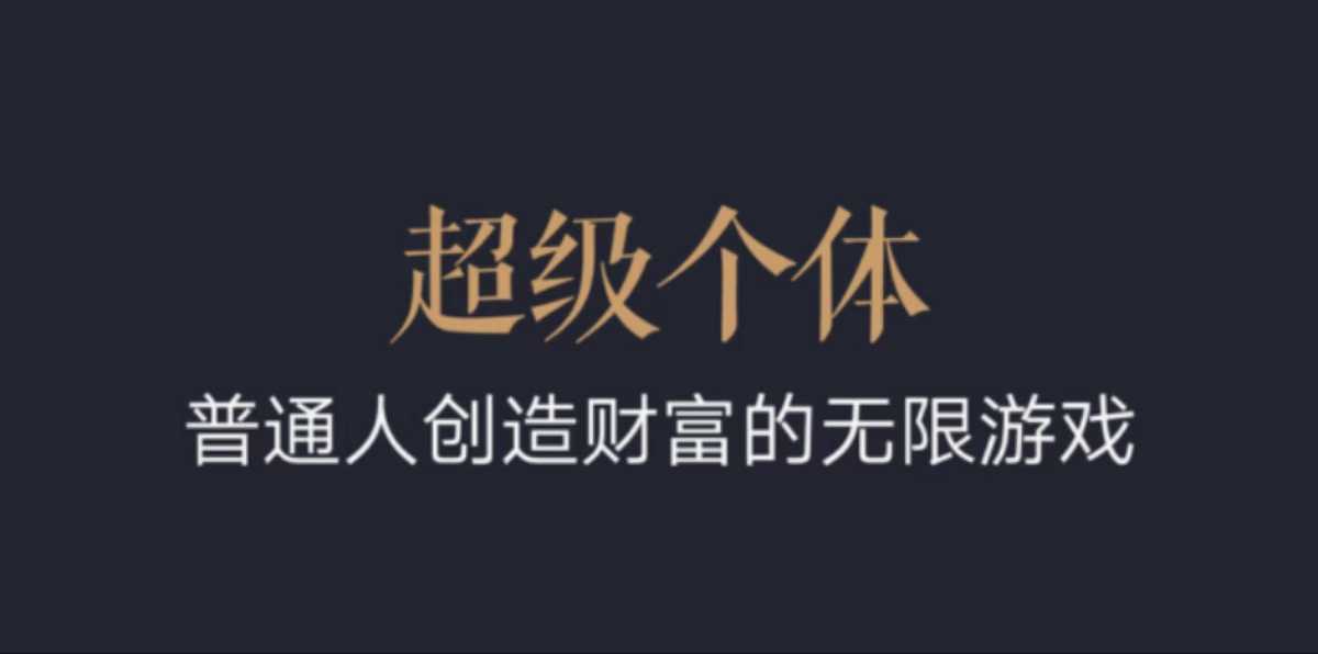 超级个体：2024-2025翻盘指南，普通人创造财富的无限游戏-云创项目库