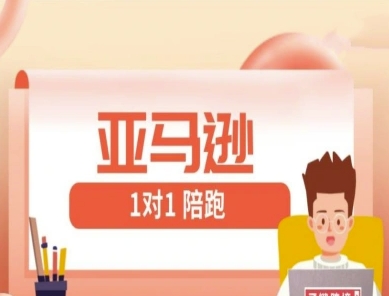 亚马逊1对1陪跑课(FBA/FBM精铺)跨境亚马逊教程-云创项目库