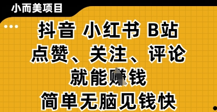 小而美的项目，抖音小红书B站视频点赞、关注、评论就能挣钱，简单无脑立见收益，妥妥的零撸项目【揭秘】-云创项目库