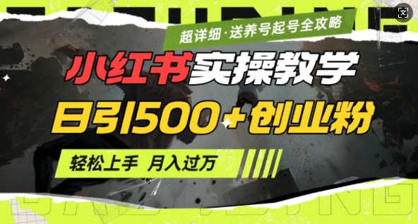 2月小红书最新日引500+创业粉实操教学【超详细】小白轻松上手，月入1W+，附小红书养号起号SOP-云创项目库