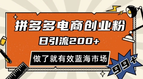 拼多多引流电商创业粉，日引200+，可矩阵放大，做了就有效【揭秘】-云创项目库