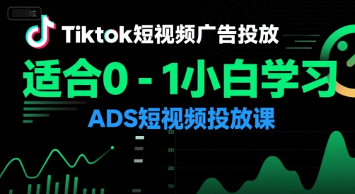 Tiktok短视频广告投放，适合0-1小白学习ADS短视频投放课-云创项目库