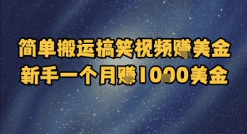 简单搬运搞笑视频挣美金，新手一个月入1k美金-云创项目库