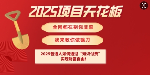 2025项目天花板普通人如何通过知识付费，实现财F自由【揭秘】-云创项目库